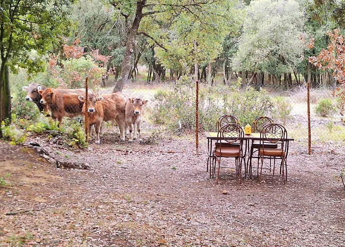 Casa Natura Montseny شاليه El Brull